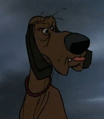 You're the man now, dog.