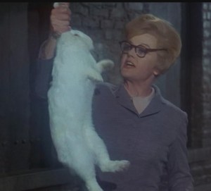 Interesting fact: Rabbits enjoy being lifted by their ears about as much as humans do.