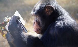 "Christ, this is overrated."