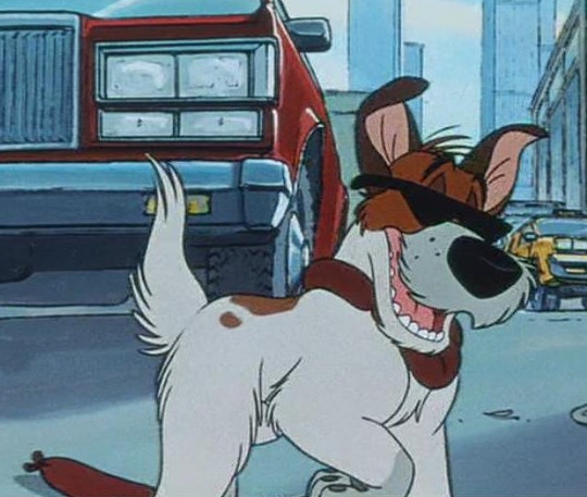 Wow, he's wearing sunglasses! He's so cool!