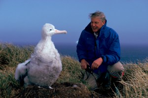 Seriously. That monster next to Attenborough? That's a fucking baby.