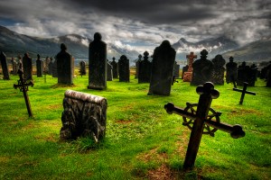 Which went brilliantly, thanks for asking.