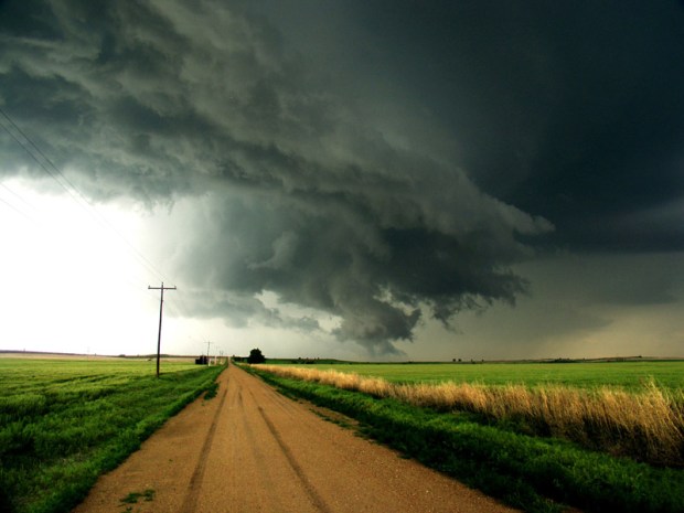 Behold! The might forests of Kansas!