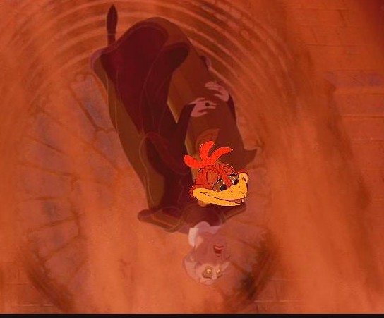 LAZY BASTARD KOOKABURRAS!