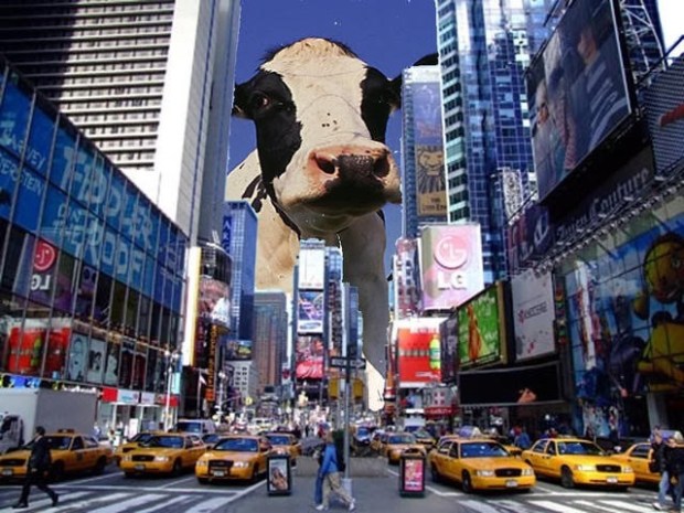 "Whoops, outta time. We'll tell you about this next week."