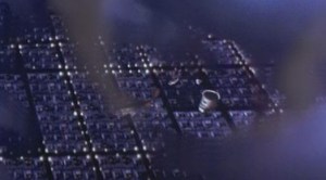 LAZY BASTARD KOOKABURRAS!