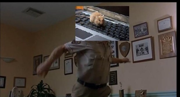 "STAY OUT OF THE CANON, DINOSAUR! STAY OUT OF THE CANON LAMEASS!"