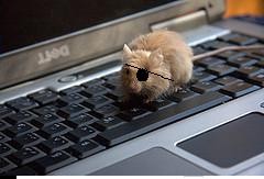 "Ha! Just as I planned, brother! And soon, the plantation shall be mine!"