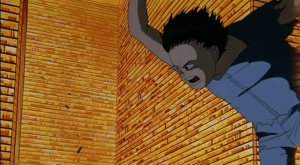 LAZY BASTARD KOOKABURRAS!