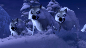 Wolves frozen