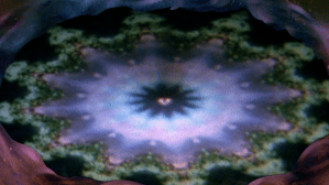 "Cmoooooon...pay attention to me!"