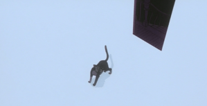 Your in the Other Mothers world! RUN YOU FOOL!!