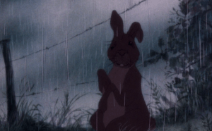 And if you like strange looking rabbits, friend do I have a movie for you!