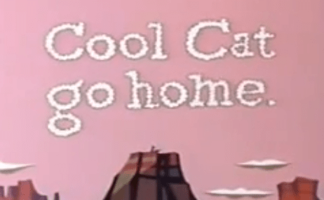 cool-cat-go-home